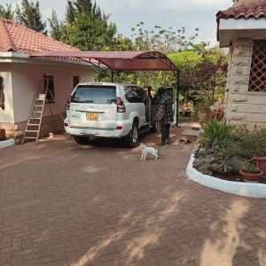 cantilever carshade canopy