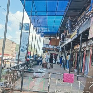 residential arched carshade